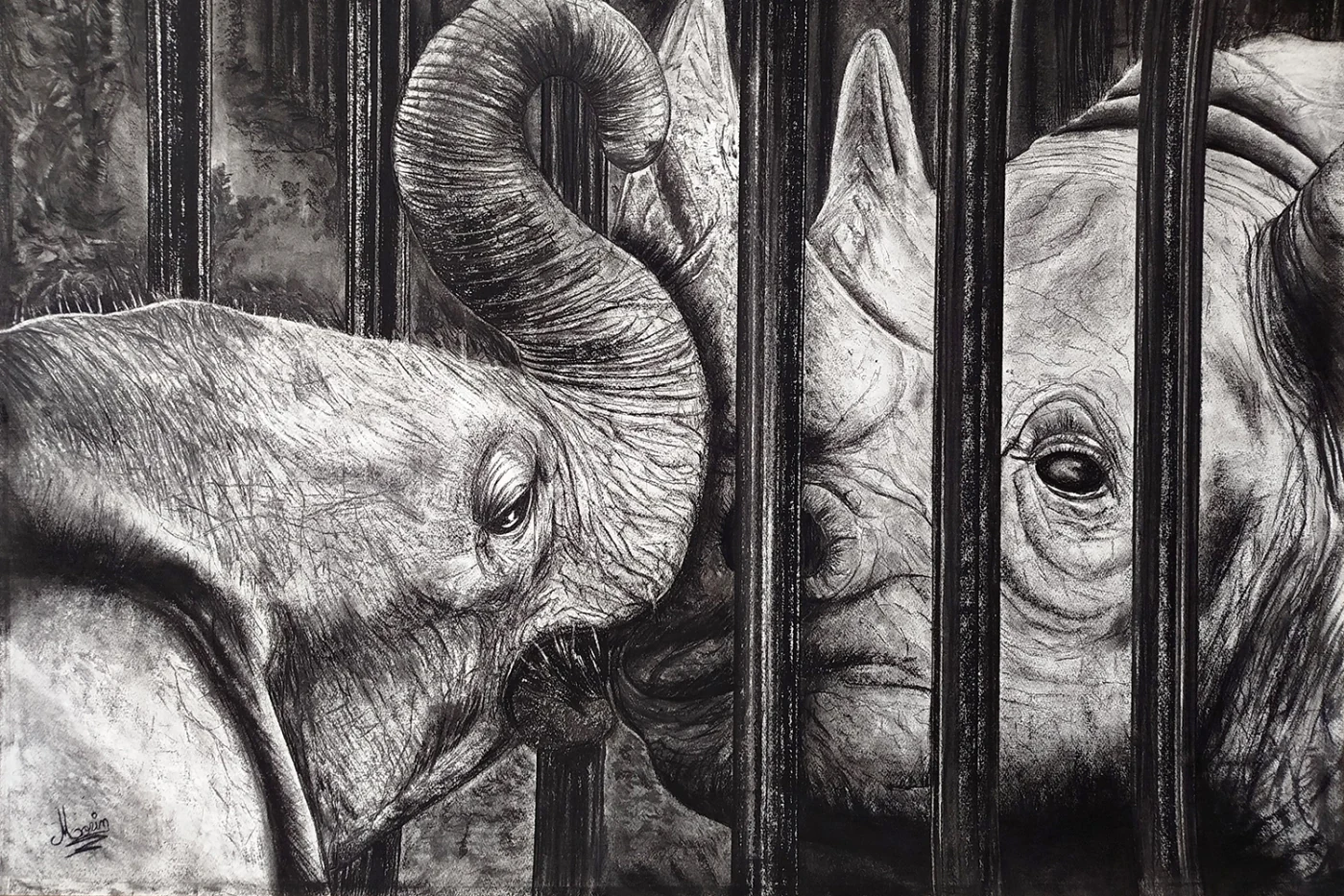 Between us entre nous, dessin animalier au fusain par Jeremy MORIN